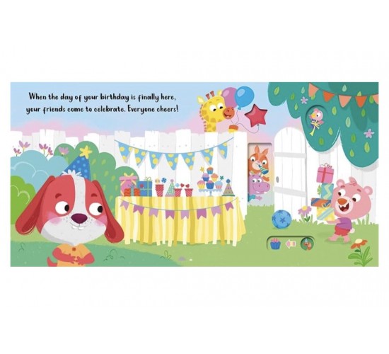 D-028 ITS MY BIRTHDAY