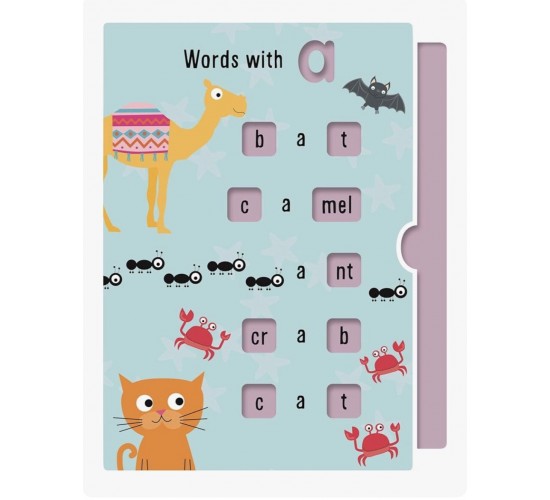 D-036 ACTIVITY FLASHCARDS