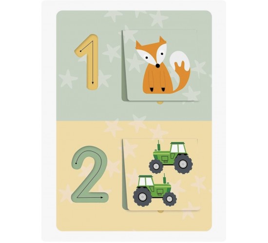 D-036 ACTIVITY FLASHCARDS