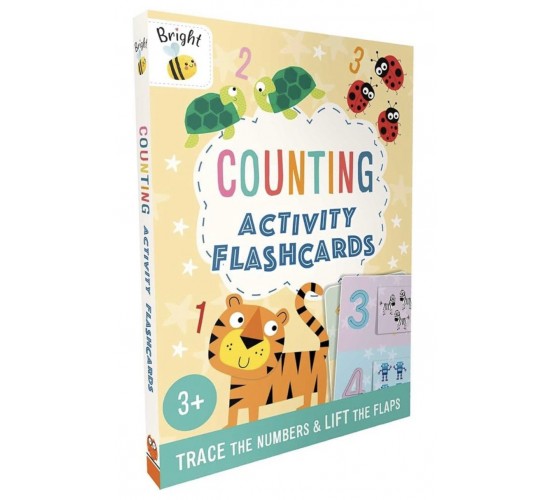 D-036 ACTIVITY FLASHCARDS