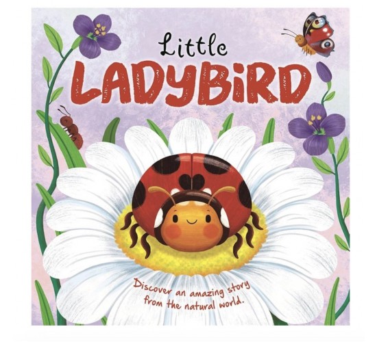 D-042 LITTLE LADYBIRD