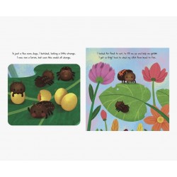 D-042 LITTLE LADYBIRD