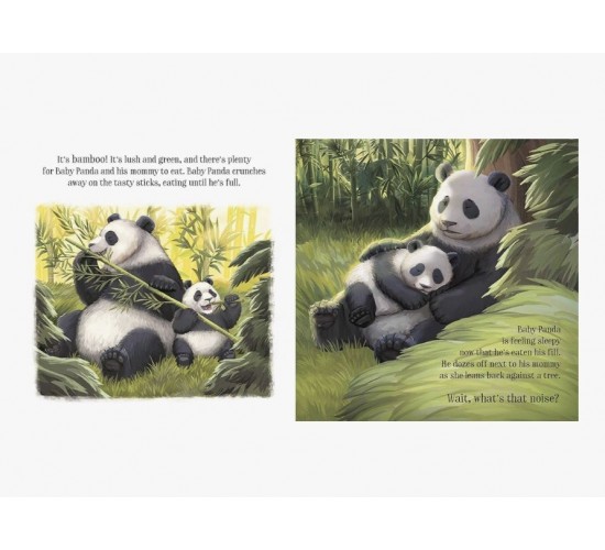 D-044 STORY FROM NATURAL WORLD