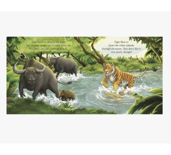 D-044 STORY FROM NATURAL WORLD