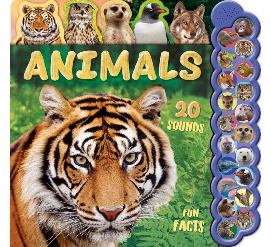 D-052 ANIMALS