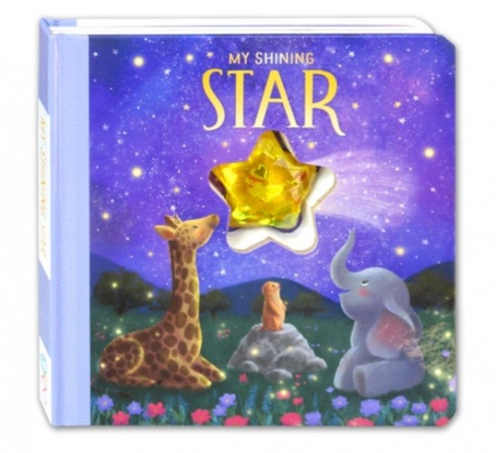 D-058 BOARD BOOK