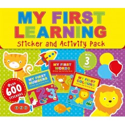 D-079 MY FIRST LEARNING STICKER