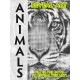 D-085 REVEAL ART : ANIMALS