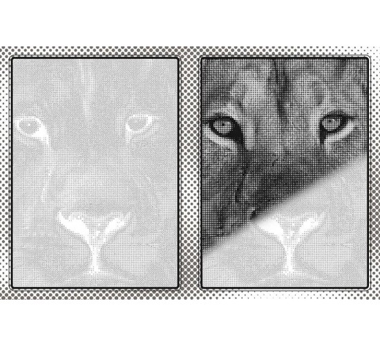 D-085 REVEAL ART : ANIMALS