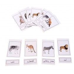 E-26 كروت صامته و ناطقه (6 عناوين) E-26 كروت صامته و ناطقه (6 عناوين)