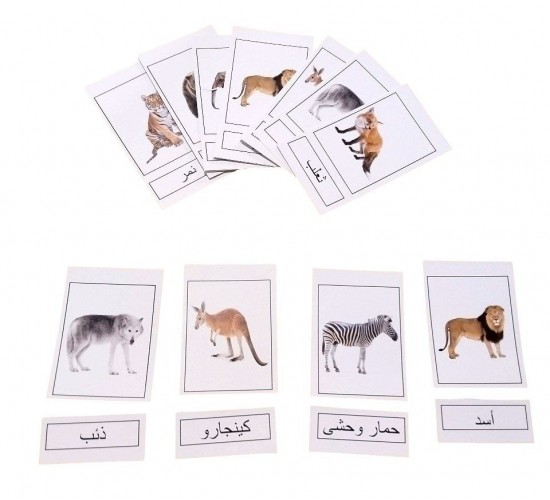 E-26 كروت صامته و ناطقه (6 عناوين)