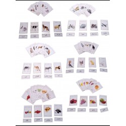 E-26 كروت صامته و ناطقه (6 عناوين)