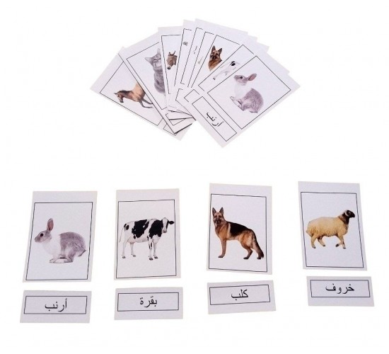 E-26 كروت صامته و ناطقه (6 عناوين)