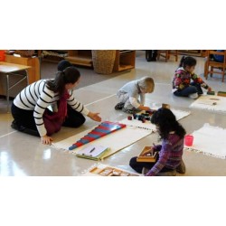 M-027 عصيان احمر وازرق مستورد 