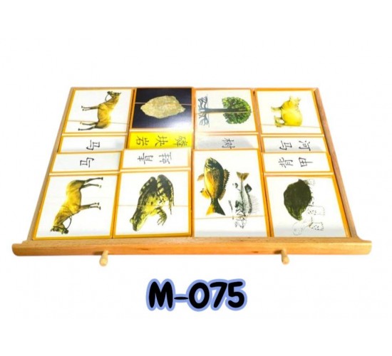M-075 M-077 دولاب ورق الشجر مستورد M-075 M-077 دولاب ورق الشجر مستورد