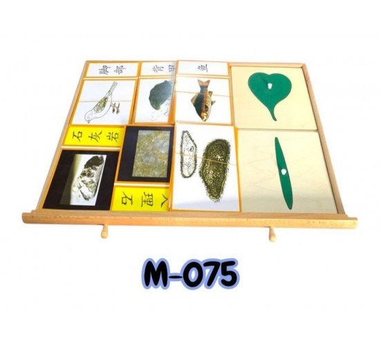 M-075 M-077 دولاب ورق الشجر مستورد M-075 M-077 دولاب ورق الشجر مستورد
