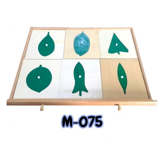 M-075 M-077 دولاب ورق الشجر مستورد M-075 M-077 دولاب ورق الشجر مستورد