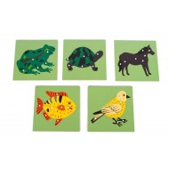 M-081 M-085 بازل العلوم حيونات 5 مستورد 