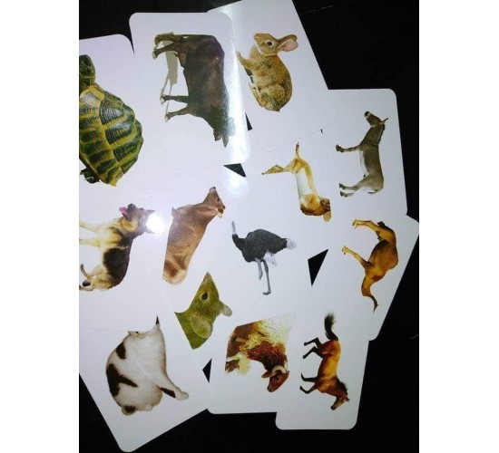 كروت ضمنيه الصفوة حيونات اليفه R11-3 كروت ضمنيه الصفوة حيونات اليفه R11-3