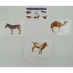 كروت ضمنيه الصفوة حيونات اليفه R11-3