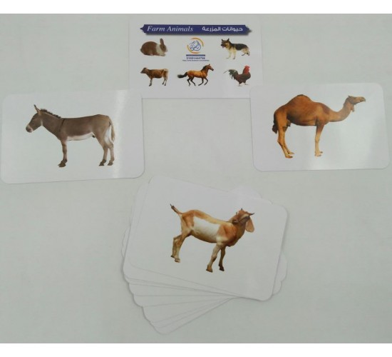 كروت ضمنيه الصفوة حيونات اليفه R11-3 كروت ضمنيه الصفوة حيونات اليفه R11-3