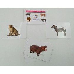 كروت ضمنيه الصفوة حيونات غابه R11-4