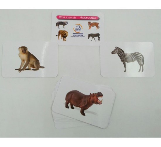 كروت ضمنيه الصفوة حيونات غابه R11-4 كروت ضمنيه الصفوة حيونات غابه R11-4