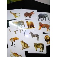 كروت ضمنيه الصفوة حيونات غابه R11-4