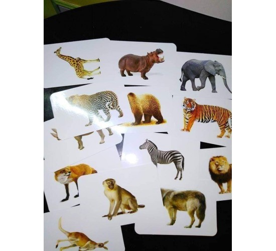 كروت ضمنيه الصفوة حيونات غابه R11-4 كروت ضمنيه الصفوة حيونات غابه R11-4