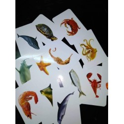 كروت ضمنيه الصفوة بحريه R11-8