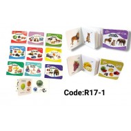 R17-1 كتبي الاولي