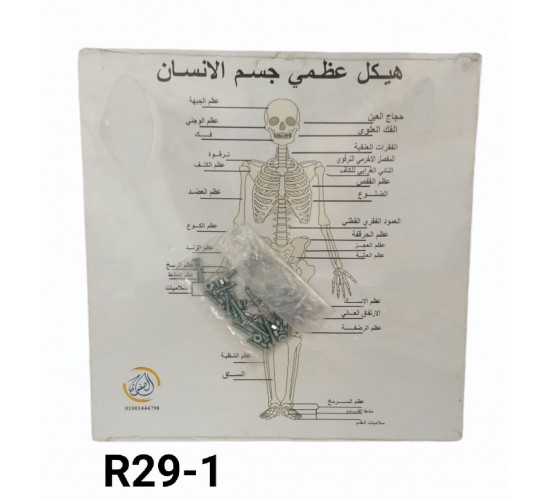 جسم الانسان R29-1