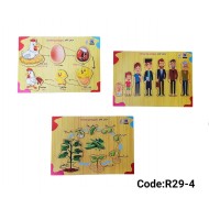 R29-4 بازل مراحل النمو صغير 