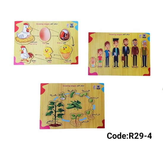 R29-4 بازل مراحل النمو صغير 