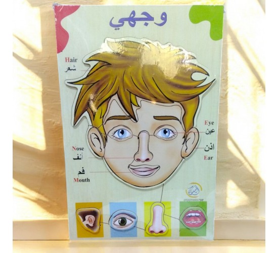 R5-1 بازل جسم ووجه كبير 