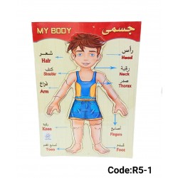 R5-1 بازل جسم ووجه كبير 