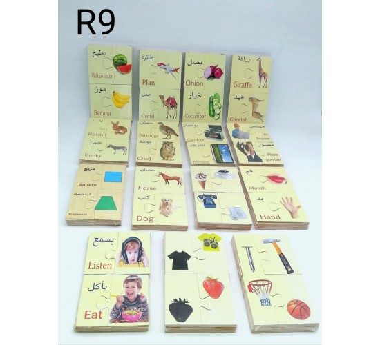 R9 فلاش كارد الصفوة R9 فلاش كارد الصفوة