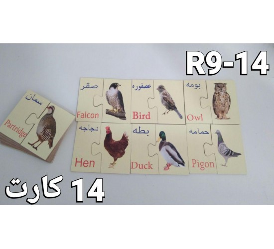 R9 فلاش كارد الصفوة R9 فلاش كارد الصفوة