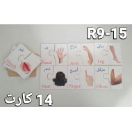 فلاش كارد جسمي صور طبيعيه R9-15