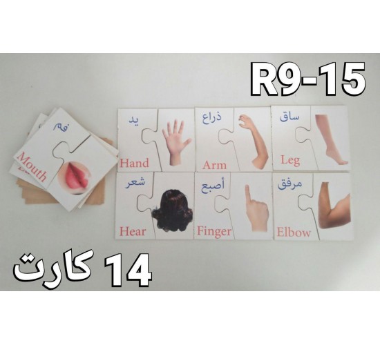 فلاش كارد جسمي صور طبيعيه R9-15