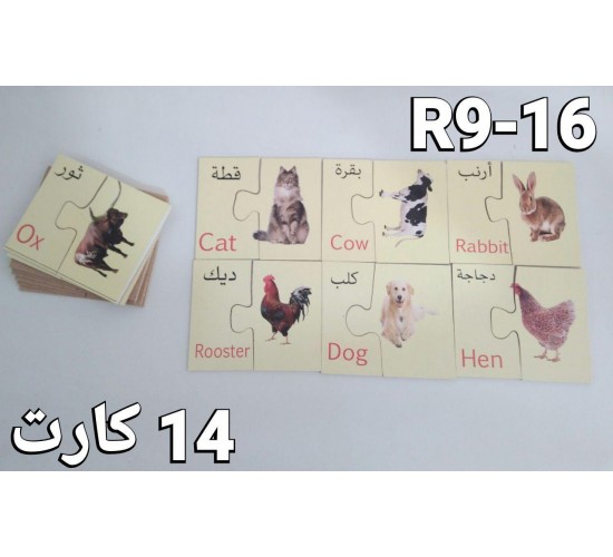 R9 فلاش كارد الصفوة R9 فلاش كارد الصفوة