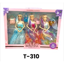 T-310 علبه 3 عرائس
