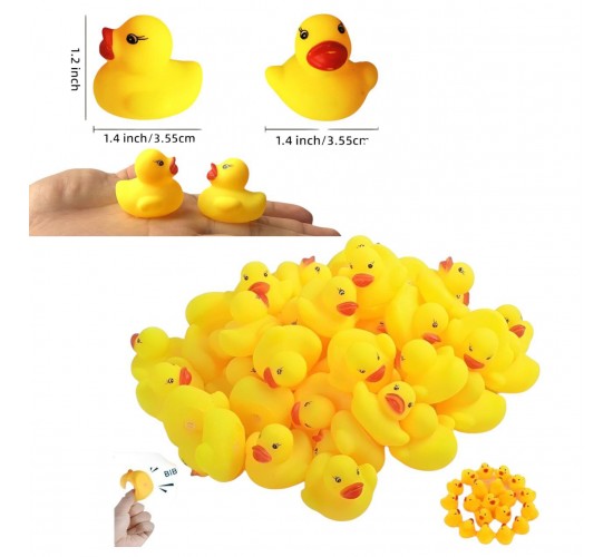 W25-221 كيس 12 بطه كاوتش