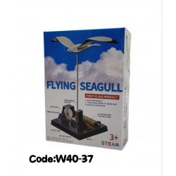 W40-37 تجارب علميه طائر النورس