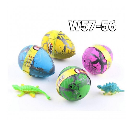 W57-56 بيضة النمو 