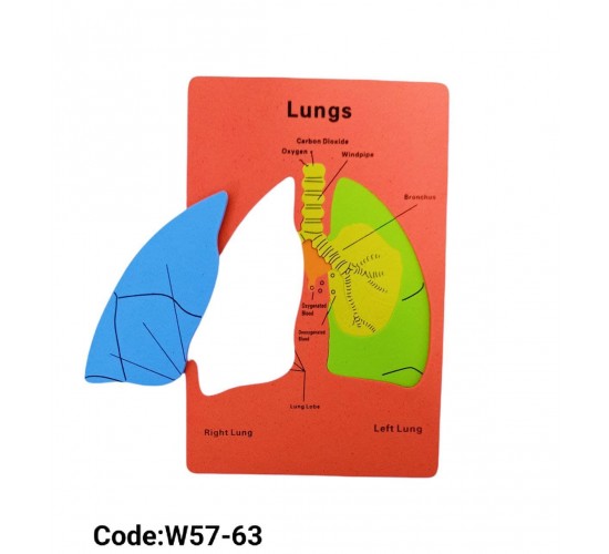 W57-63 جهاز تنفسي فوم