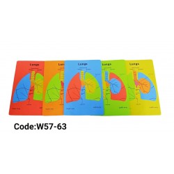 W57-63 جهاز تنفسي فوم