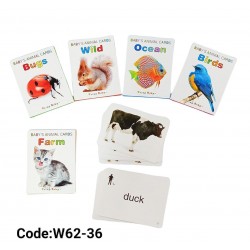 W62-36 كروت اشكال طبيعية W62-36 كروت اشكال طبيعية